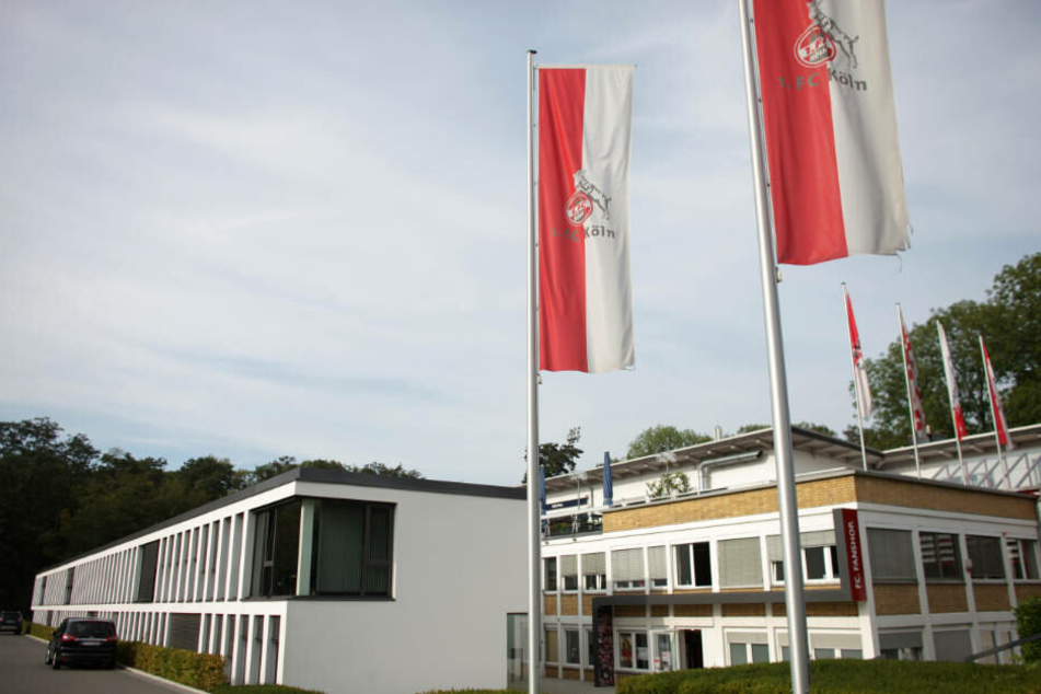 In der Geschäftsstelle des Effzeh wird bereits fleißig am Team der Zukunft gebastelt.