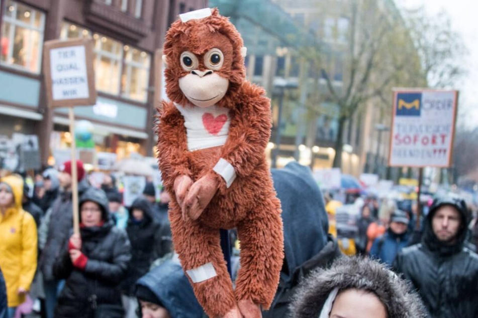 Demonstranten ziehen durch die Innenstadt und halten einen Affen aus Stoff mit Pflastern hoch.
