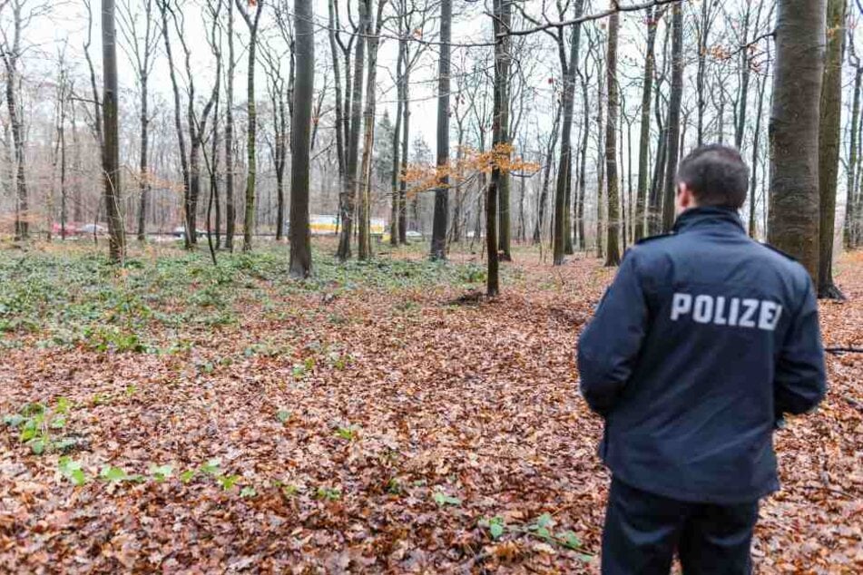 Am Donnerstag entdeckten ein Hund und sein Besitzer einen Totenschädel im Waldstück "Eilenriede" in Hannover.