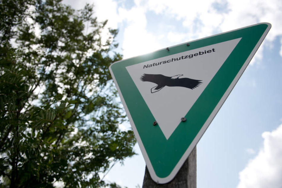 Im Boden des Naturschutzgebietes Boberger Niederung schlummert anscheinend giftiges Dioxin (Symbolfoto).
