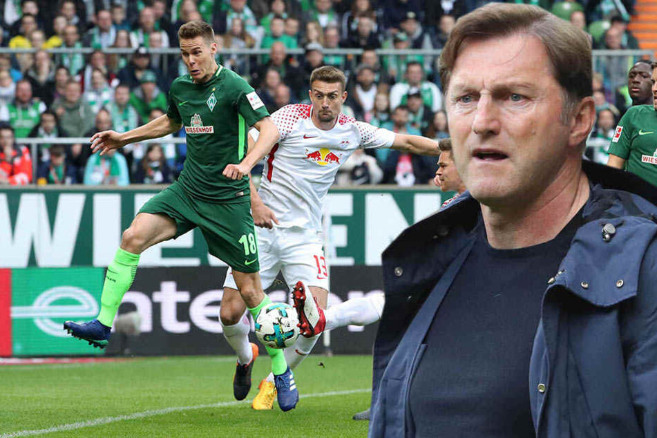 Trainer Ralph Hasenhüttl (r.) konnte mit der zweiten Halbzeit zufrieden sein. Die erste dürfte aber nicht nach seinem Geschmack gewesen sein.