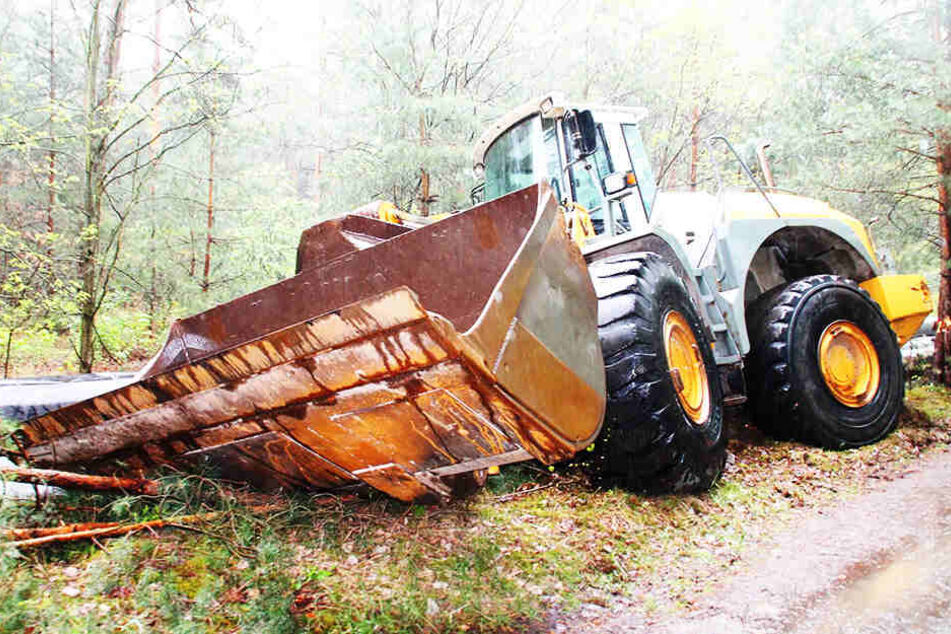 Im Wald bei Hoyerswerda entdeckten Passanten einen gestohlenen Radlader.
