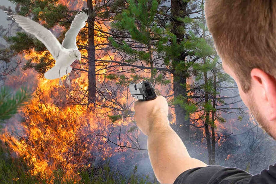 Auf die vier Jugendlichen kommt jetzt ein Ermittlungsverfahren zu. (Symbolbild)