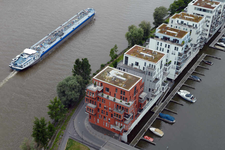 Die Leiche wurde im Westhafen entdeckt. (Symbolbild)