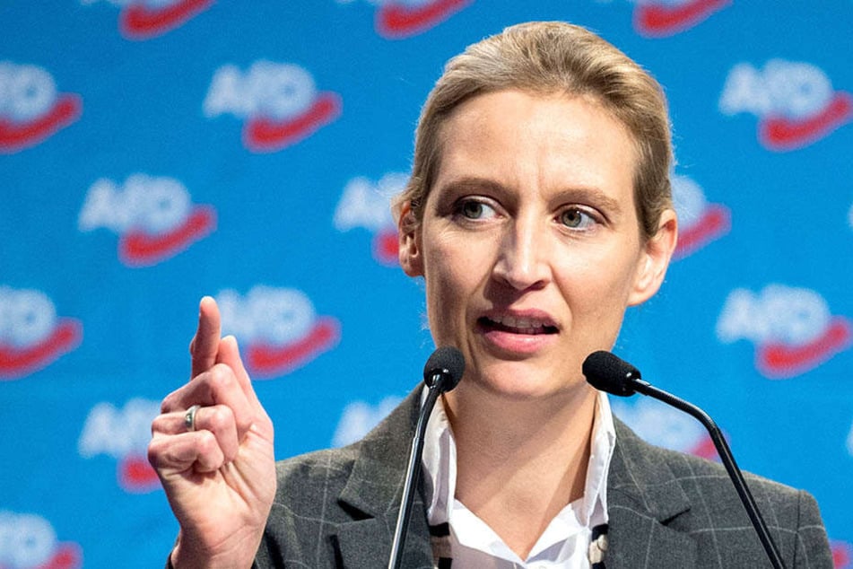 AfD-Politikerin Alice Weidel (39) stört sich an der "Islamisierung".