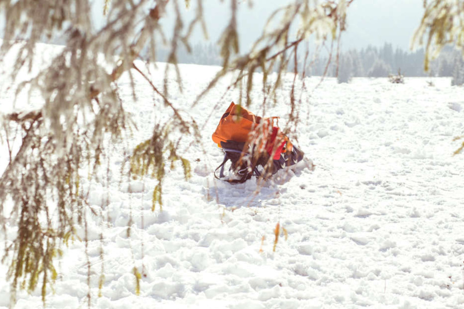 In Schweden starb jetzt eine Frau an einer Unterkühlung in einem Wald. (Symbolbild)