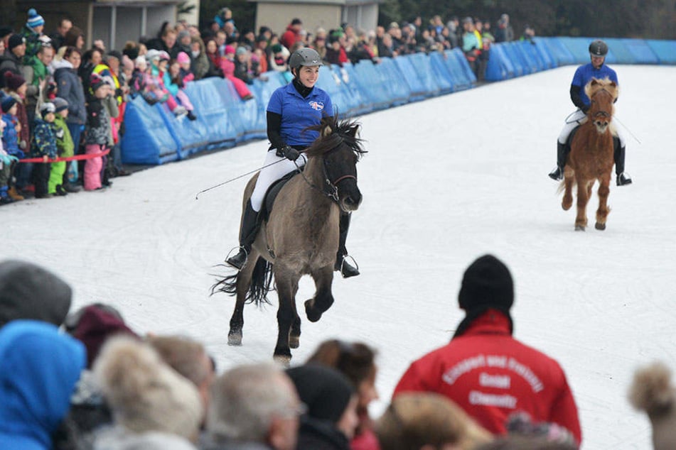Zum Jubiläums-Winterfest der Chemnitzer Eisbahn lieferten sich Ponys und Pferde ein Wettrennen mit Eissportlern.