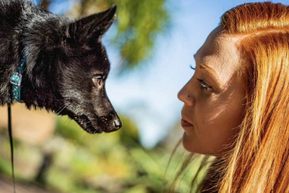 Hund und Mensch leben seit Jahrtausenden zusammen.