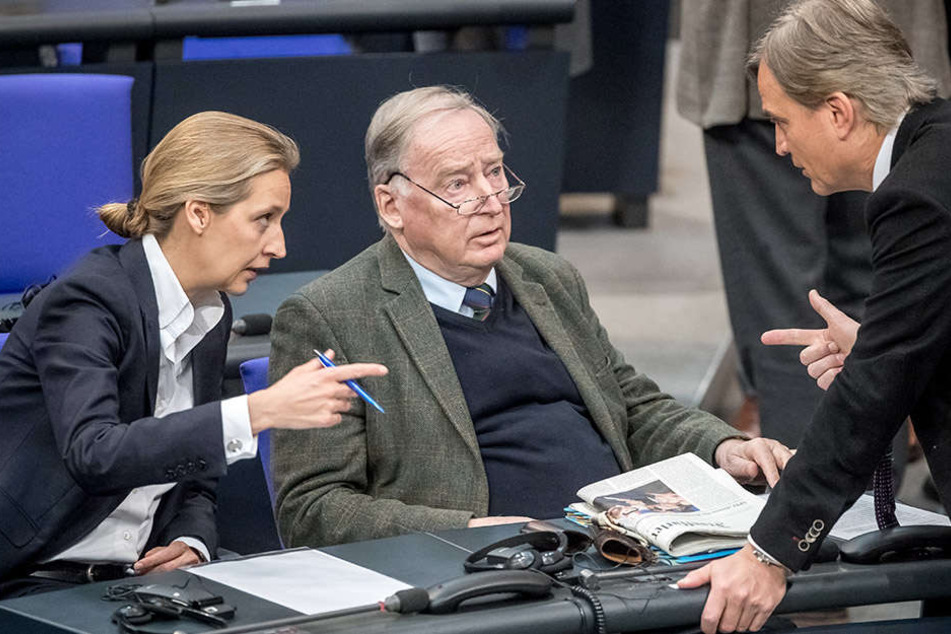 Die Alternative für Deutschland (Alice Weidel, Alexander Gauland, Bernd Baumann, v.l.n.r.) möchte nicht als Rassisten beschimpft werden.