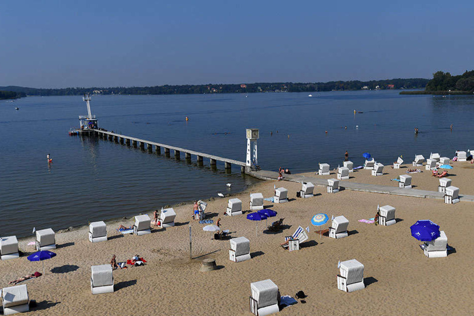 Egal ob Wind oder Wetter, die Fans des Freibads gehen immer schwimmen.