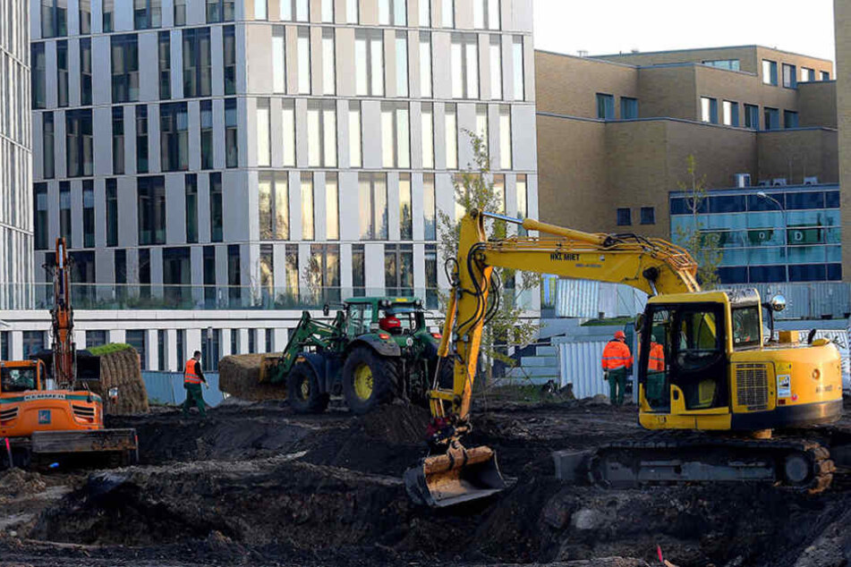 Auf dieser Baustelle wurde eine 250 Kilo schwere Weltkriegsbombe entdeckt.