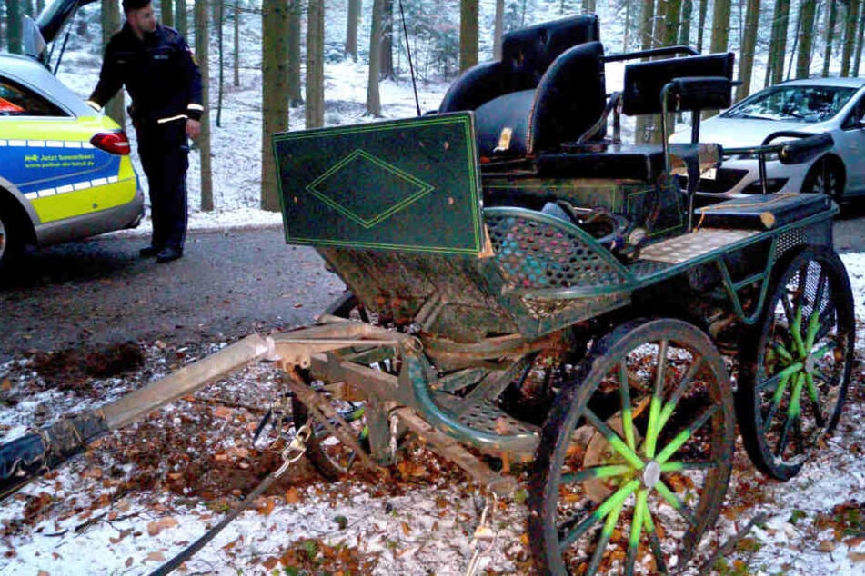 Als das Pferd gegen den Baum prallte, stürzte der Kutscher vom Gespann.