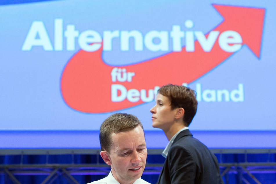 Die AfD und Frauke Petry gehen getrennte Wege, dennoch wählte sie die Partei zur Bundestagswahl.