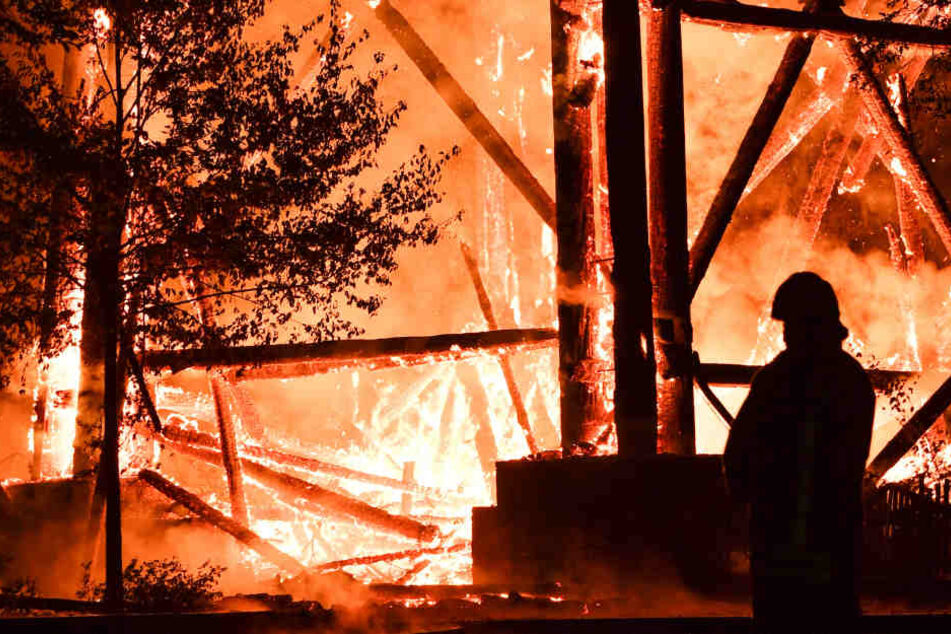Der Goetheturm im Frankfurter Stadtwald wurde am 12. Oktober 2017 ein Raub der Flammen.