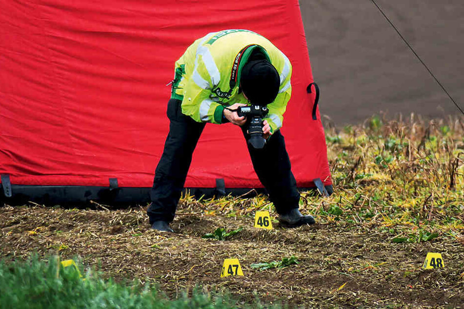 Ein Beamter untersucht die frischen Reifenspuren auf dem Feld. Das Opfer soll
überfahren worden sein.