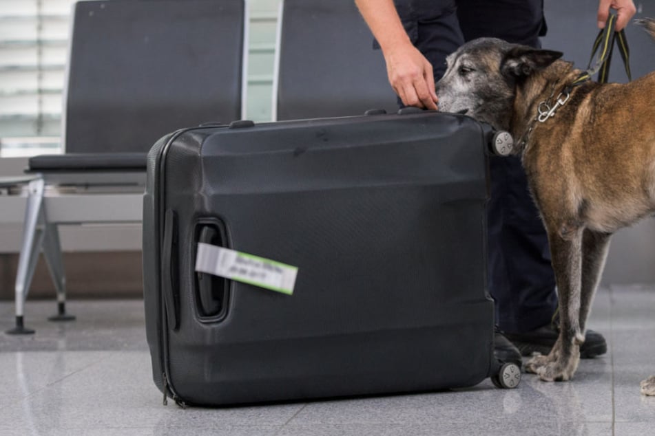 Einem Mann wurde am Flughafen München sein Gepäck zum Verhängnis. (Symbolbild)