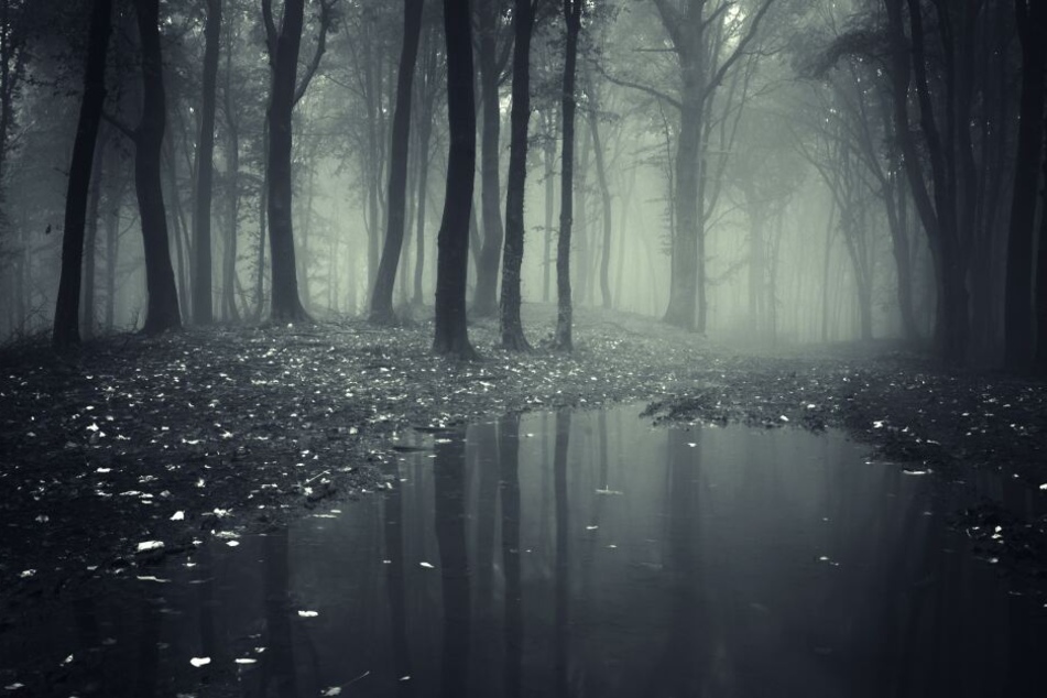 Die Frau ließ ihr Kind in einem Teich ertrinken. (Symbolbild)