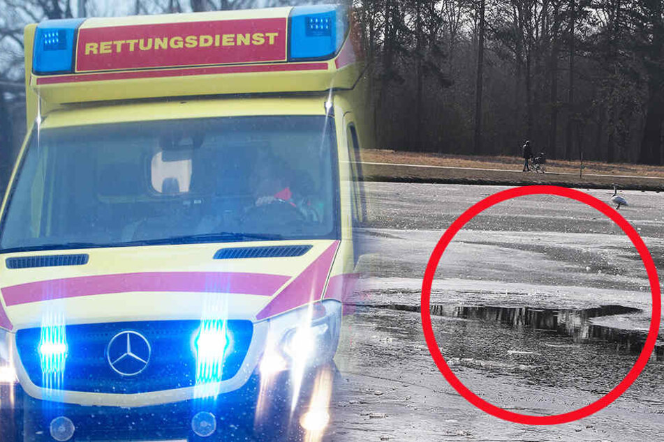 Hier am Areal "Neuer Teich" im Großen Garten brachen die Frauen samt Hund ein.