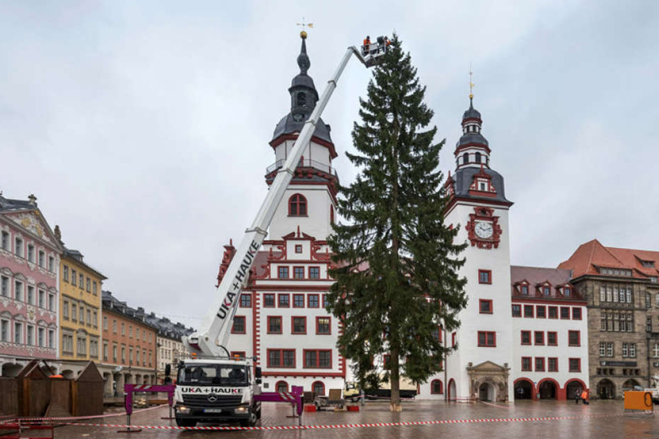 Der Weihnachtsbaum wird mit Lichterketten beschmückt.