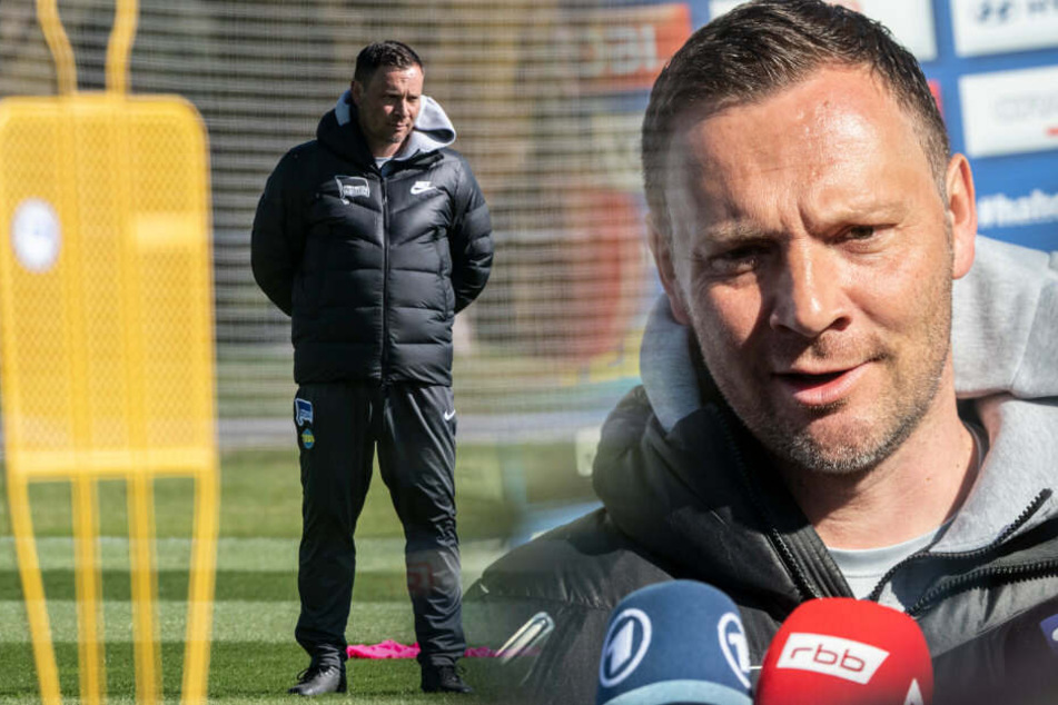 Pal Dardai spricht nach dem Training mit den Journalisten.