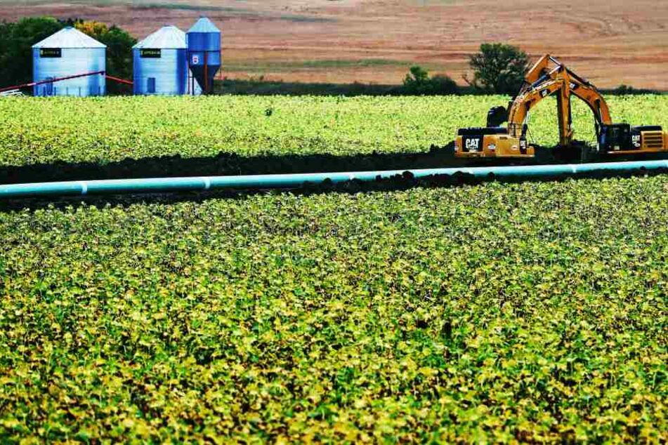Knapp 800.000 Liter Öl sind in South Dakota ausgelaufen.