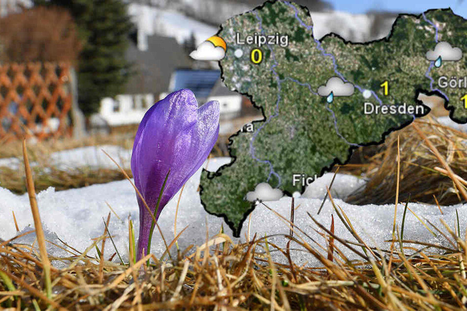 Der Frühling ist in den Startlöchern, aber Sonne und Wärme bleiben auf Abstand.