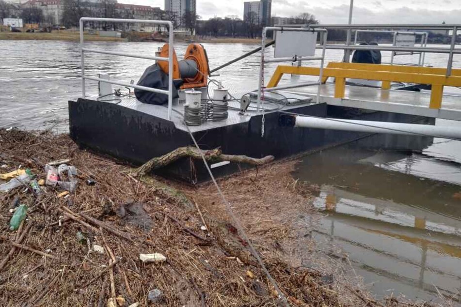 Auf der Neustadt-Seite hatte sich zu viel Treibgut gesammelt.