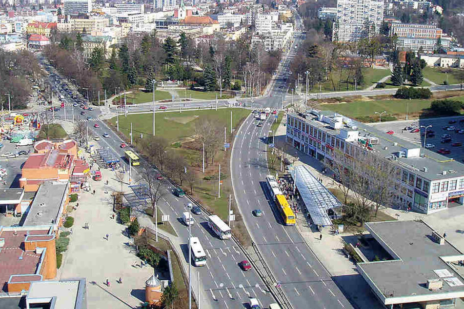 In Zlin/Tschechien wurde der Blütenkönig geschnappt.