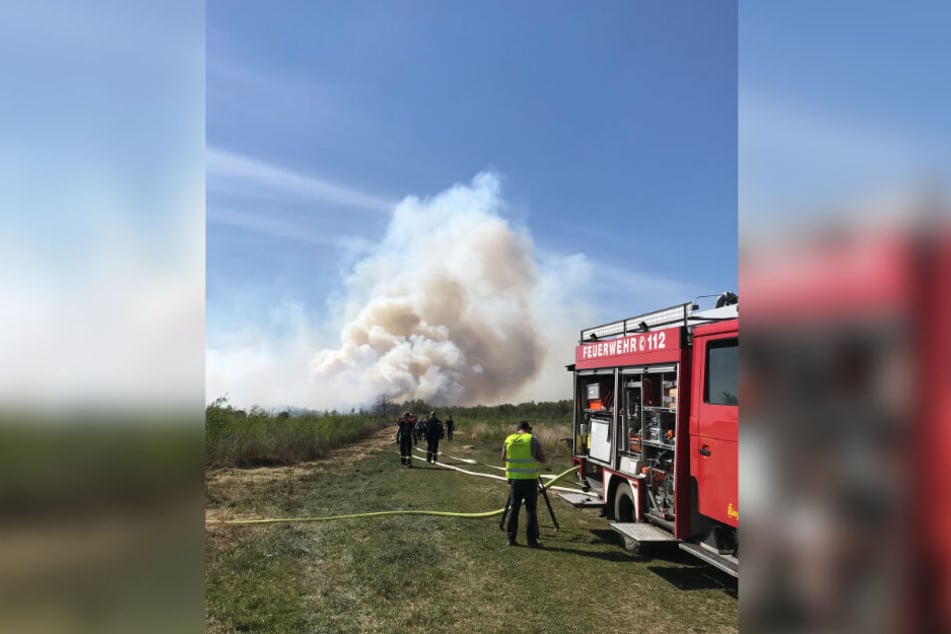 Ein Moorbrand bei Goldenstedt löst dichte Rauchentwicklung aus. Wegen starken Windes und der Trockenheit breitete sich der Brand schnell auf einer Fläche von mehreren Hektar aus.