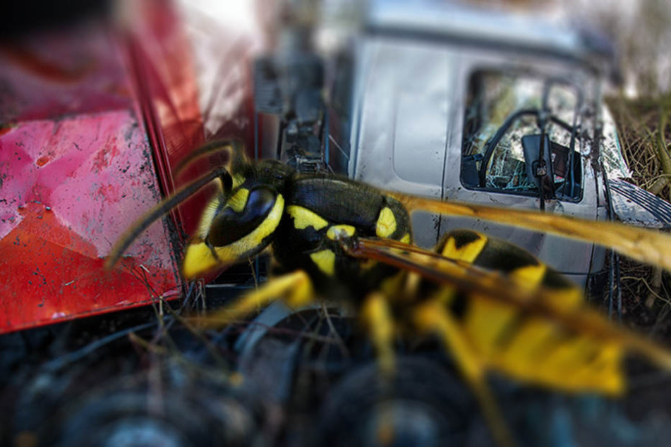 Der Lkw erlitt einen Totalschaden. (Bildmontage)
