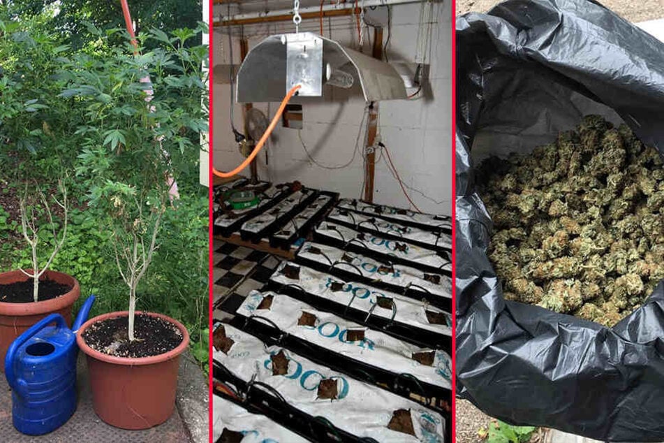 Die Beamten fanden eine professionell aufgebaute, bereits abgeerntete Indoor-Anlage zum Anbau von Cannabis und bereits geerntetes, abgepacktes Marihuana