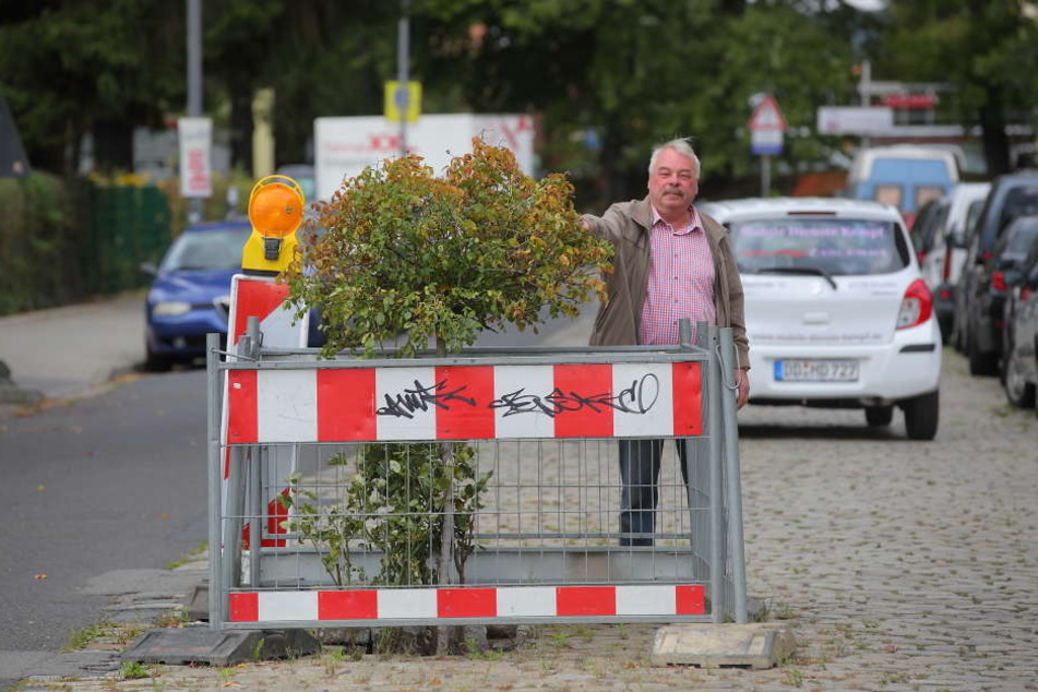Anwohner Frank Richter (66) zeigt den Rosen-Protest an der umzäunten Mini-Baustelle auf der Riesaer Straße.