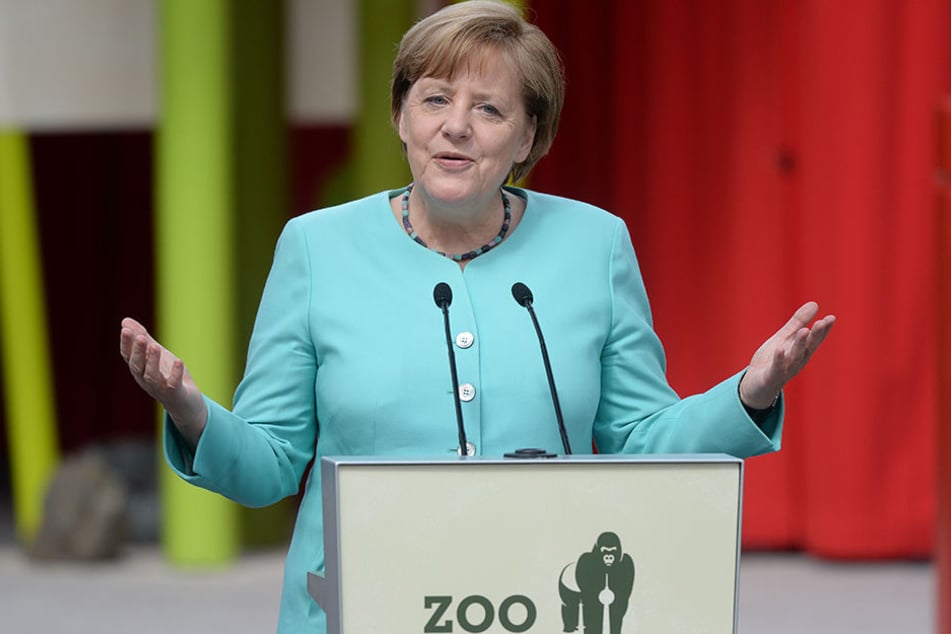 Bundeskanzlerin Angela Merkel (CDU) bei der Eröffnung der neuen Anlage für zwei Pandabären im Zoo Berlin.