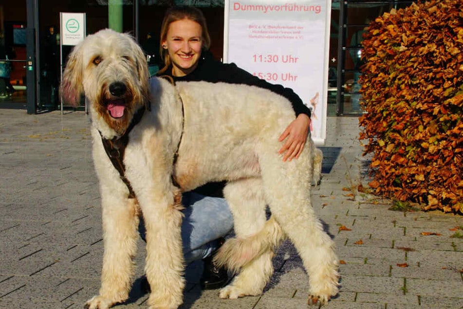 Irischer Wolfshund Menja und Hundehalterin Maike Stöcker: Menja ist fast einen Meter hoch.