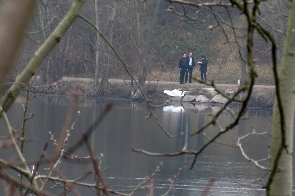 Beamte vergangenen Freitag am Pfingstbergweiher.