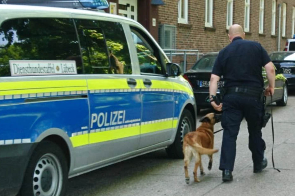 Auch die Diensthundestaffel Lübeck ist im Einsatz.