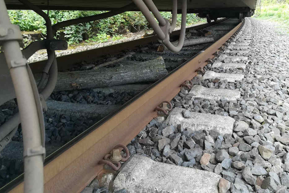 Die Regionalbahn hatte keine Chance mehr abzubremsen.