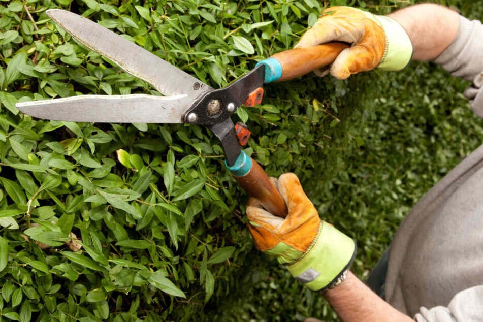 Der Mann war gerade mit Gartenarbeit beschäftigt, als er getroffen wurde. (Symbolbild)