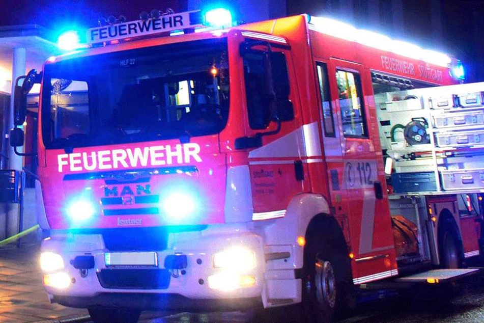 Die Feuerwehr konnte nicht mehr viel retten (Symbolbild).