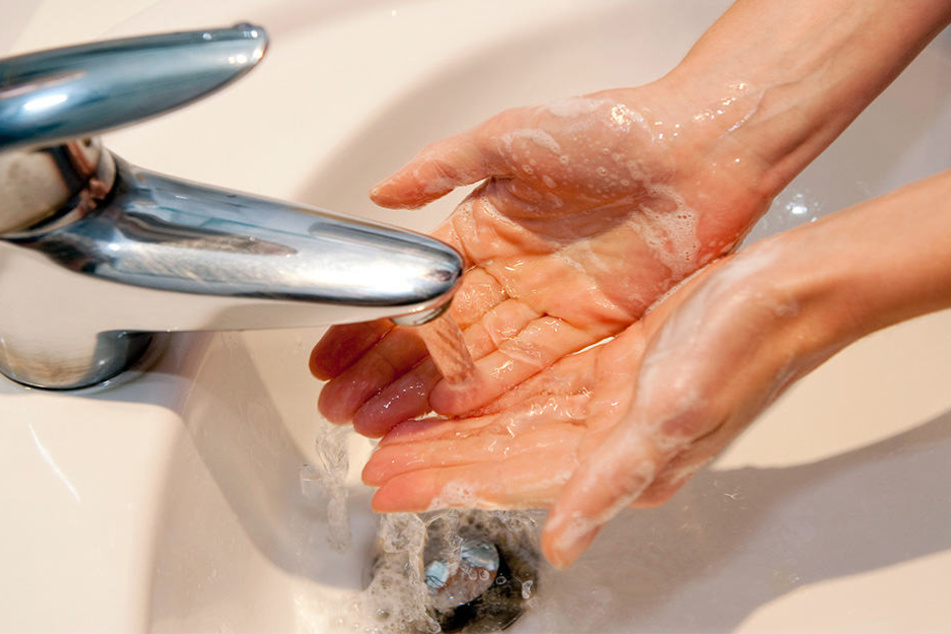 Die Hände gründlich waschen, um Campylobacter-Infektionen zu vermeiden.