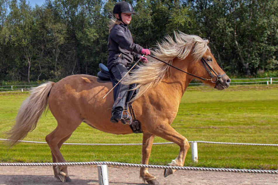 Der Perverse lockt die jungen Mädchen mit einem Model-Angebot für einen Reitsport-Katalog.