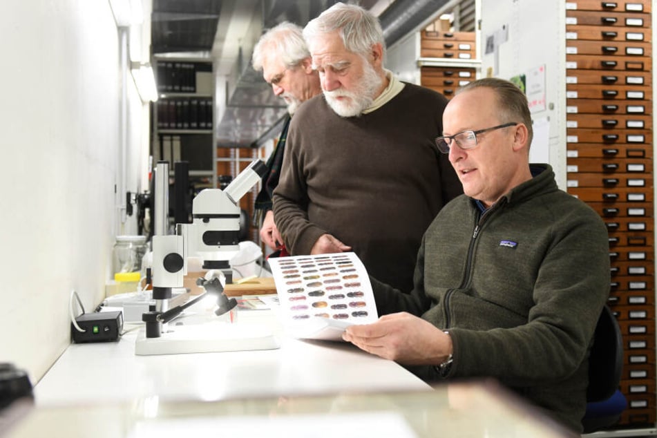 Die Käfersammler Michael von Bressensdorf (r-l), Hans Mühle und Franz Wachtel betrachten in der Zoologischen Staatssammlung München (Bayern) einen Katalog mit abgebildeten Käfern.