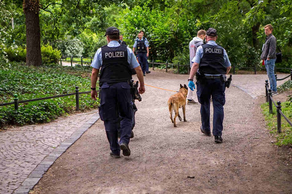 Bereits zum elften Mal filzten die Einsatzkräfte der Polizei den Bereich rund um den Hauptbahnhof auf Drogen und illegale Geschäfte. (Symbolbild)