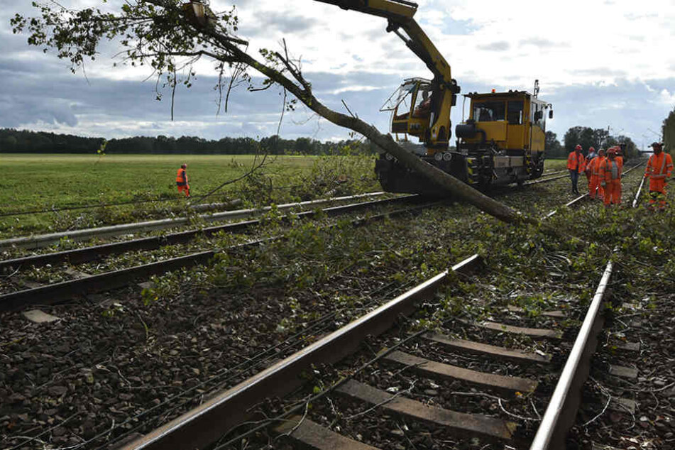 Am Montag räumten die Bahnmitarbeiter weiterhin umgestürzte Bäume von den Gleisen.