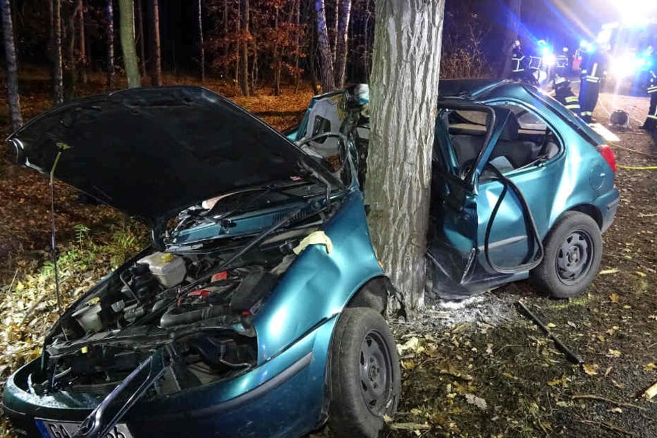 Die Feuerwehr konnte den Fahrer nur noch tot bergen.