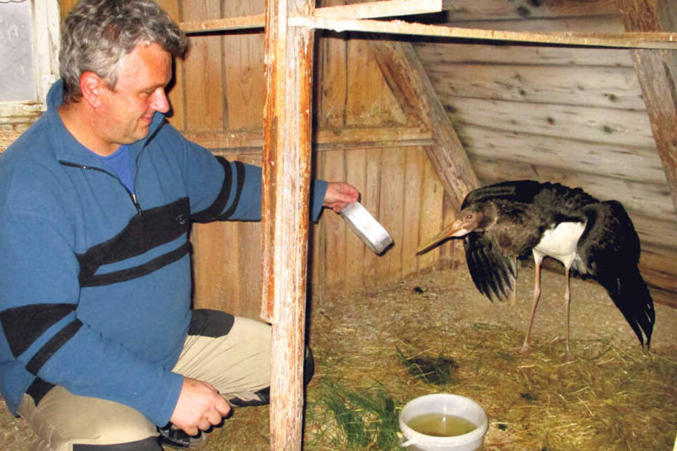 Michael Hunger wollte
dem Vogel Asyl bieten.