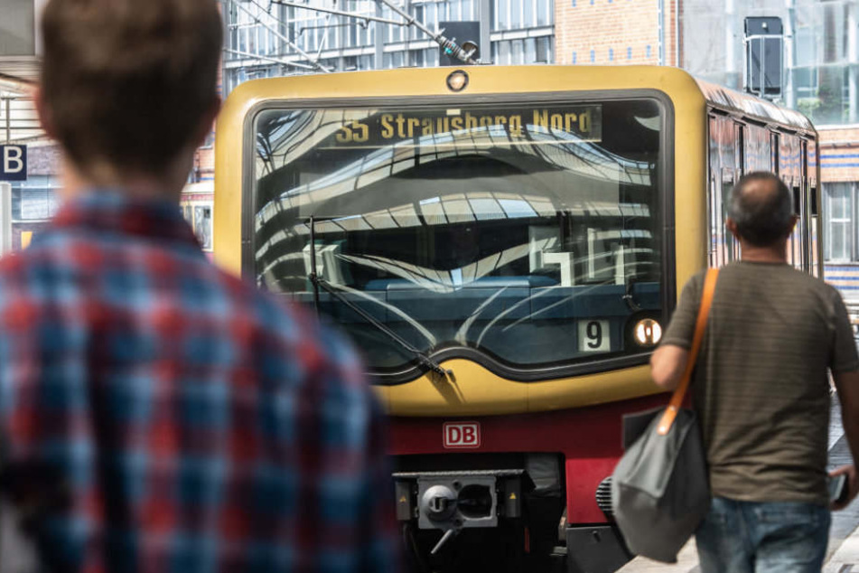 Aufgrund eines Unfalls ist der S-Bahn-Verkehr zwischen Waidmannslust und Frohnau unterbrochen. (Symbolbild)