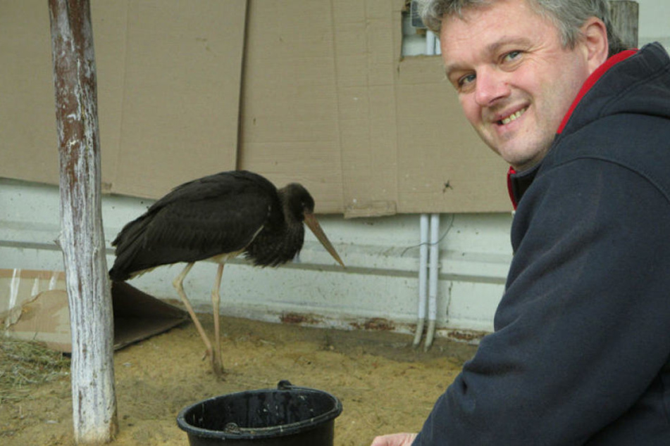 Houdini hat sich im Storchenhof gut eingelebt. Seinen Retter Michael Hunger (50) erkannte er beim Wiedersehen sofort.