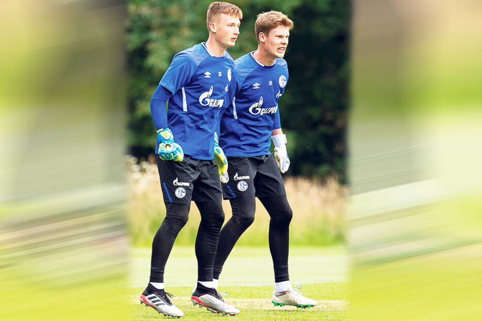 Auf Schalke muss sich Markus Schubert (l.) hinter Stammtorwart Alexander Nübel anstellen.