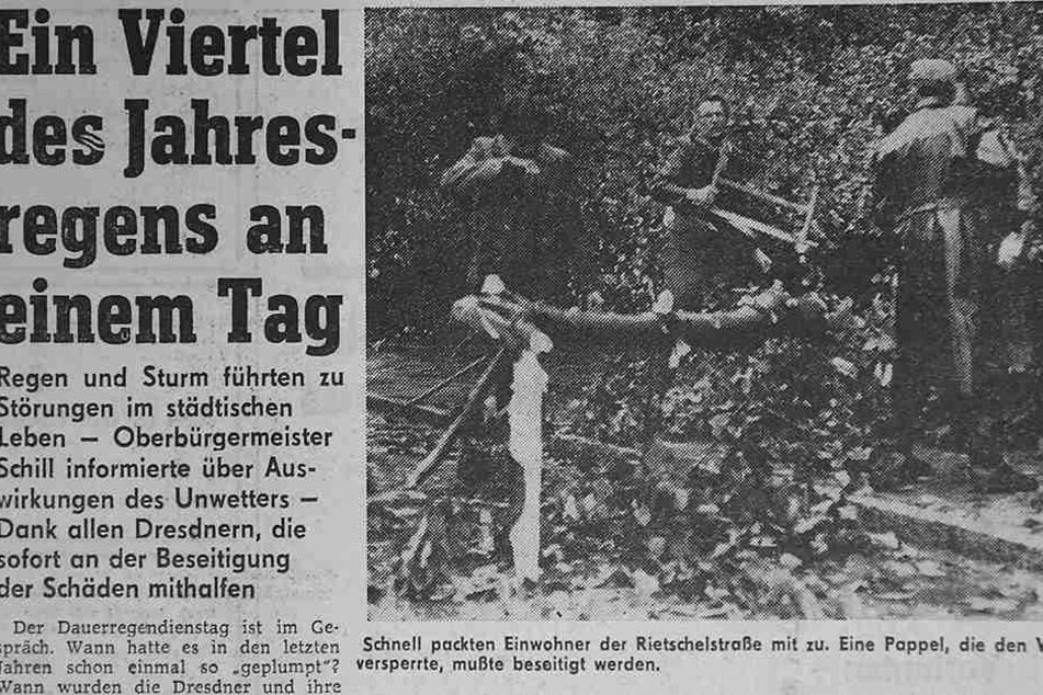 Auch Einwohner packten - wie hier an der Rietschelstraße - sofort mit an, nachdem Bäume im Unwetter gekippt waren.